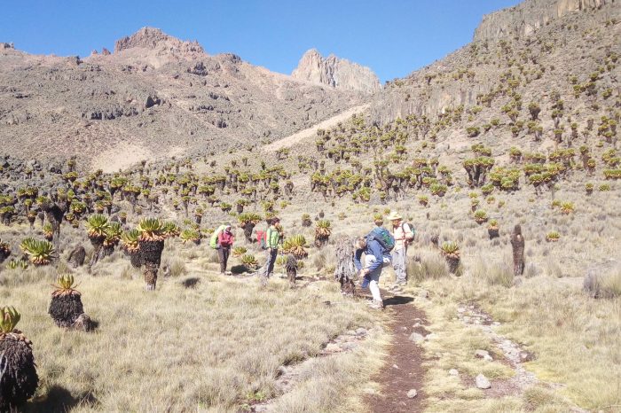 Mount Kenya Climbing: Timau – Chogoria Route