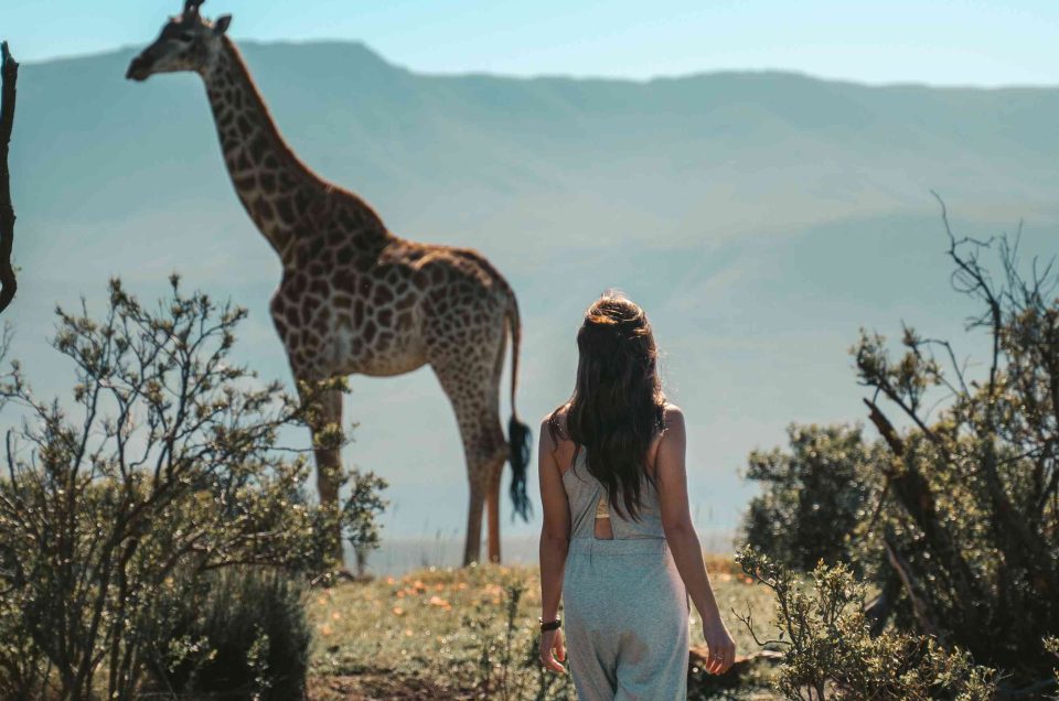 walking safari woman scaled