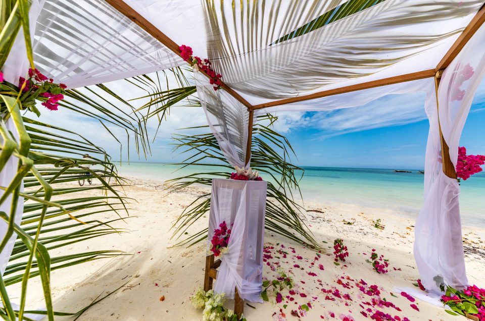 Your Gateway to Exotic Zanzibar Beach Adventures